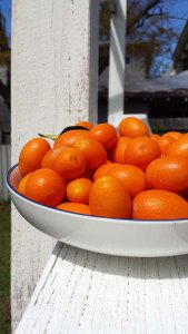 2015-Sep-Preserves009